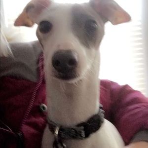 Meet your Posher, Meaghan